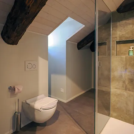 Apartment Winterland 10 Muralto