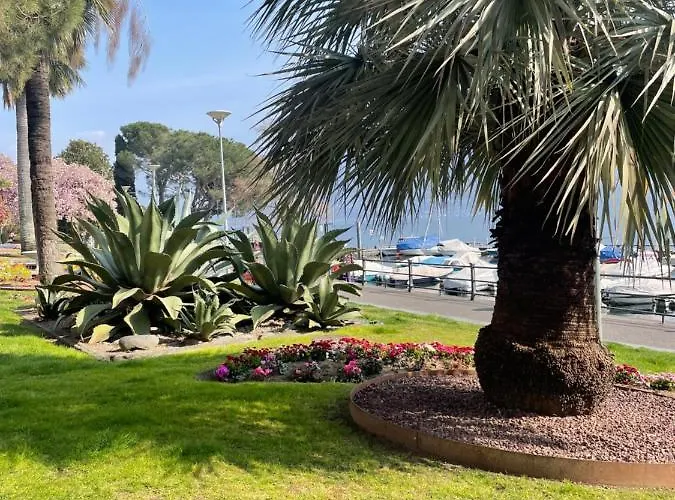 Winterland 10 Daire *